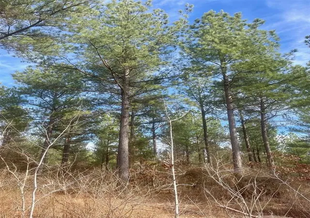 Photo 2 of Land for sale at 730 Timber Creek Trails South Xl, Broken Bow, OK 74728 | MLS# 1097736 | Listing updated on 2026-07-27