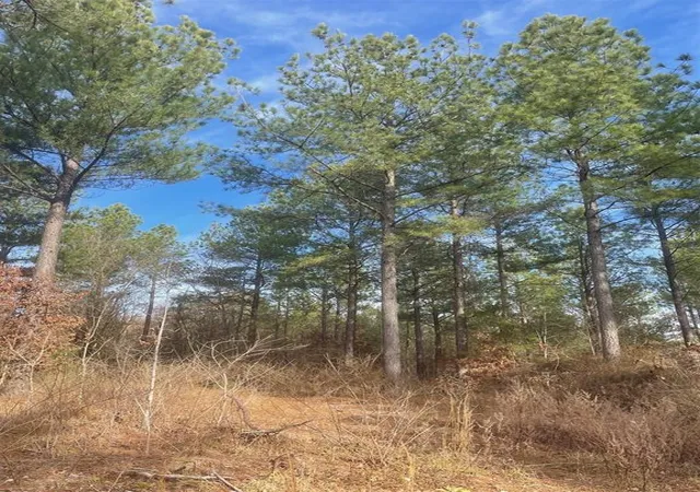 Photo 3 of Land for sale at 730 Timber Creek Trails South Xl, Broken Bow, OK 74728 | MLS# 1097736 | Listing updated on 2026-07-27