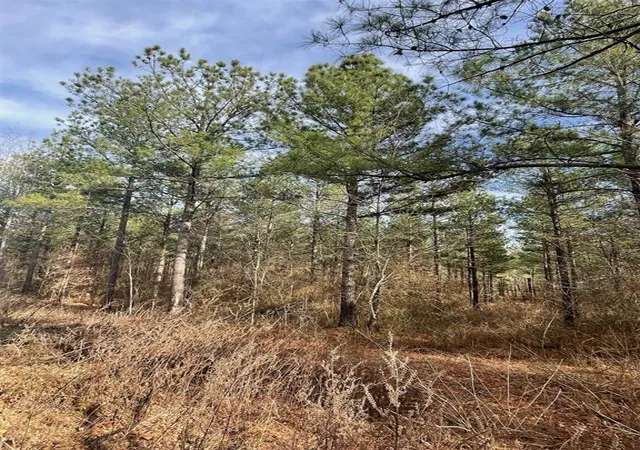 Photo 2 of Land for sale at 732 Timber Creek Trails South Xl, Broken Bow, OK 74728 | MLS# 1097749 | Listing updated on 2026-07-27