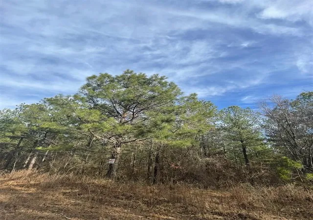Photo 3 of Land for sale at 732 Timber Creek Trails South Xl, Broken Bow, OK 74728 | MLS# 1097749 | Listing updated on 2026-07-27