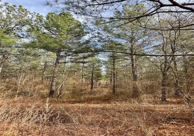 Photo 3 of Land for sale at 732 Timber Creek Trails South Xl, Broken Bow, OK 74728 | MLS# 1097749 | Listing updated on 2026-07-27