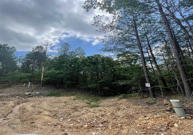 Homes for sale in Broken Bow, OK | 735 Timber Creek Trails South Xl, Broken Bow, OK 74728 | MLS# 1097867