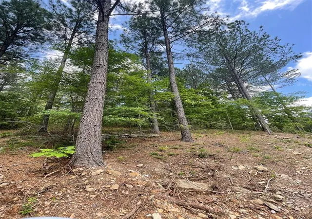 Homes for sale in Broken Bow, OK | 735 Timber Creek Trails South Xl, Broken Bow, OK 74728 | MLS# 1097867