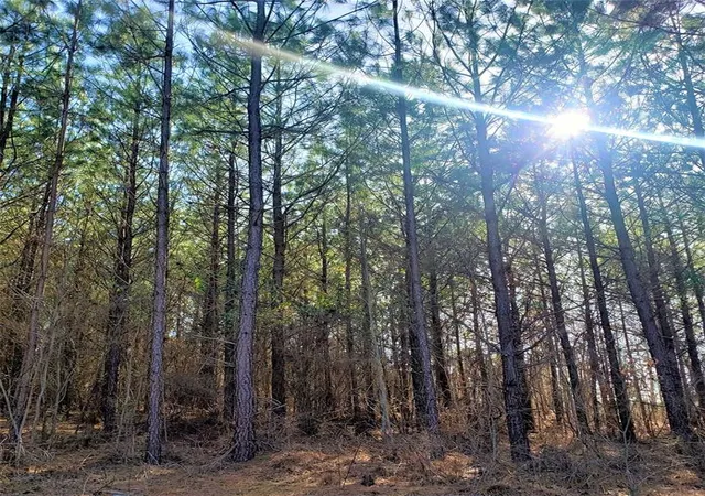 Homes for sale in Broken Bow, OK | 735 Timber Creek Trails South Xl, Broken Bow, OK 74728 | MLS# 1097867