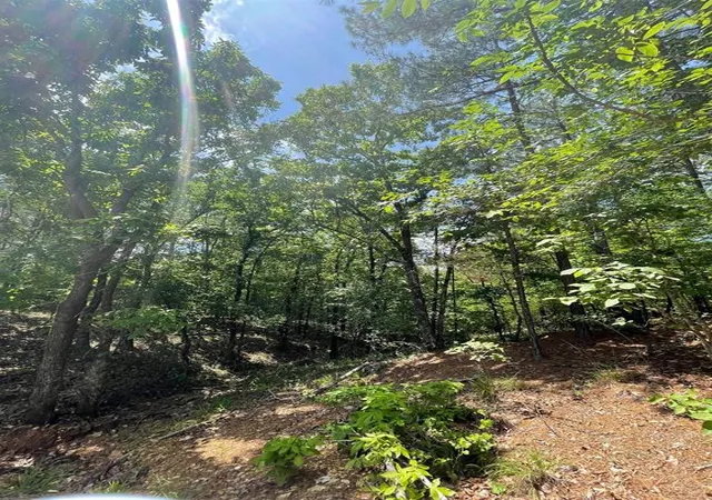 Photo 2 of Land for sale at 736 Timber Creek Trails South Xl, Broken Bow, OK 74728 | MLS# 1097871 | Listing updated on 2026-07-27