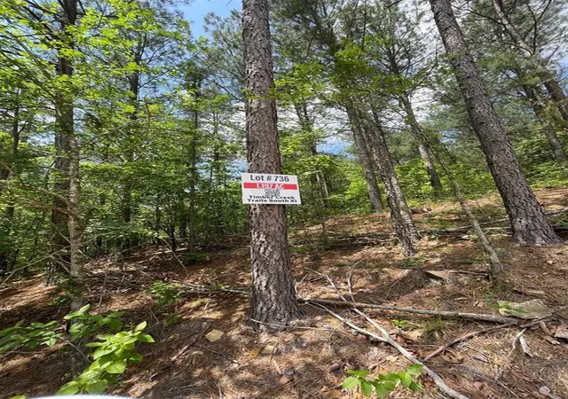 Photo 3 of Land for sale at 736 Timber Creek Trails South Xl, Broken Bow, OK 74728 | MLS# 1097871 | Listing updated on 2026-07-27