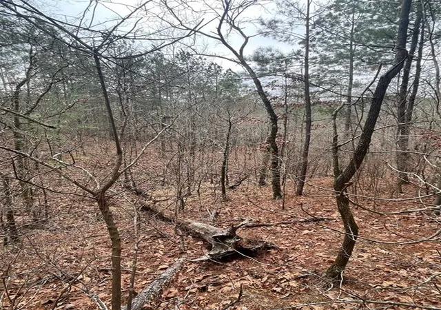 Photo 3 of Land for sale at 736 Timber Creek Trails South Xl, Broken Bow, OK 74728 | MLS# 1097871 | Listing updated on 2026-07-27