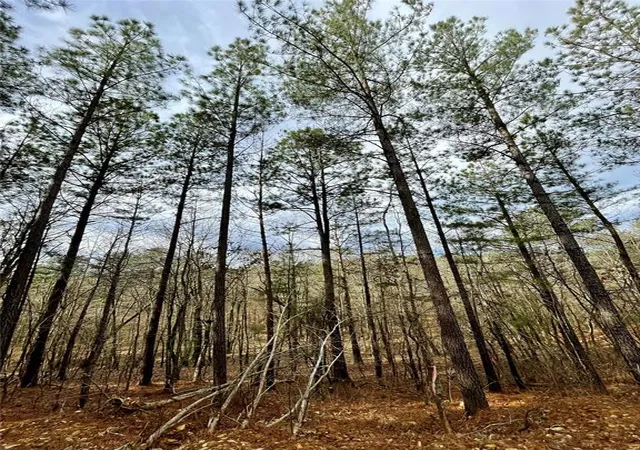 Photo 1 of Land for sale at 737 Timber Creek Trails South Xl, Broken Bow, OK 74728 | MLS# 1097875 | Listing updated on 2026-07-27