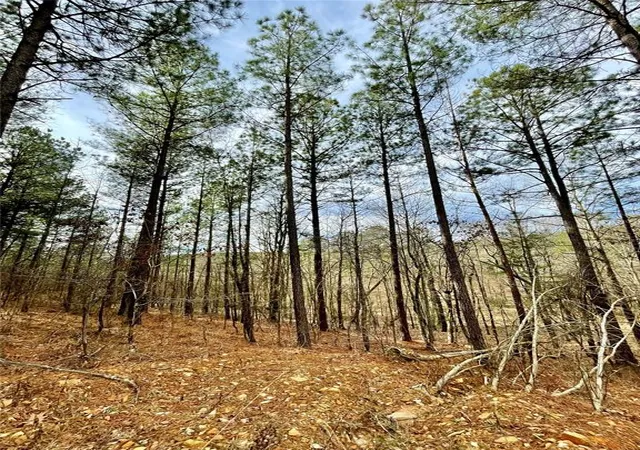 Photo 3 of Land for sale at 737 Timber Creek Trails South Xl, Broken Bow, OK 74728 | MLS# 1097875 | Listing updated on 2026-07-27