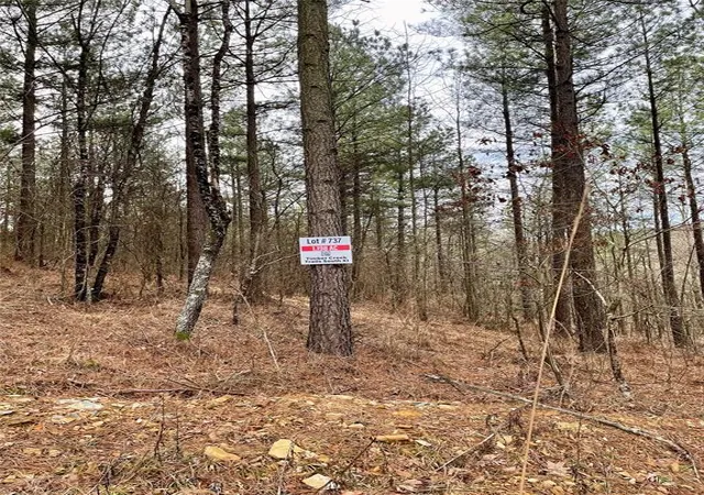 Photo 3 of Land for sale at 737 Timber Creek Trails South Xl, Broken Bow, OK 74728 | MLS# 1097875 | Listing updated on 2026-07-27