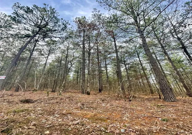 Homes for sale in Broken Bow, OK | 739 Timber Creek Trails South Xl, Broken Bow, OK 74728 | MLS# 1097878