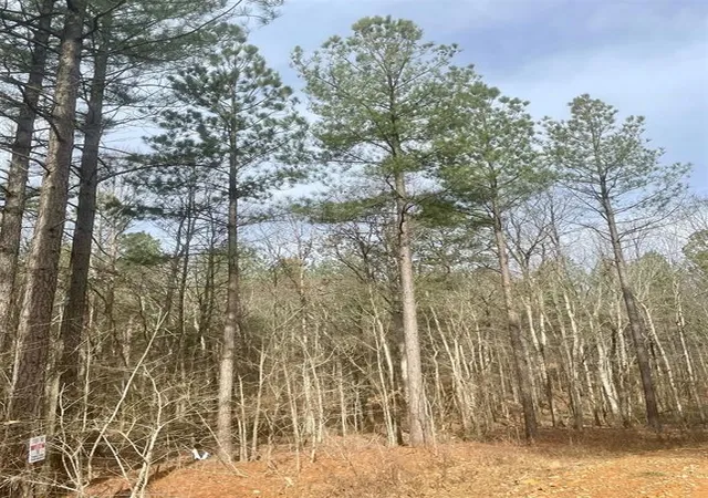 1st image of 740 Timber Creek Trails Xl, Broken Bow, OK 74728 | MLS# 1097881