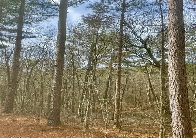 Photo 3 of Land for sale at 740 Timber Creek Trails Xl, Broken Bow, OK 74728 | MLS# 1097881 | Listing updated on 2026-07-27