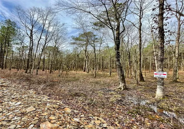 1st image of 741 Timber Creek Trails South Xl, Broken Bow, OK 74728 | MLS# 1097883