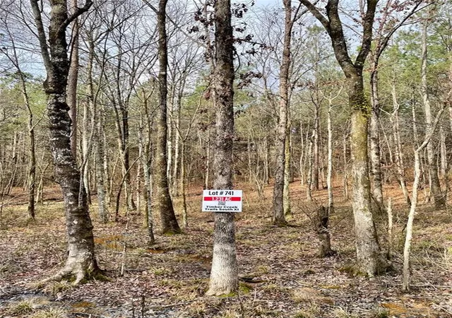 2nd image of 741 Timber Creek Trails South Xl, Broken Bow, OK 74728 | MLS# 1097883