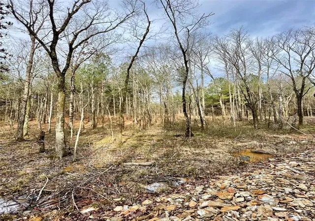 3rd image of 741 Timber Creek Trails South Xl, Broken Bow, OK 74728 | MLS# 1097883
