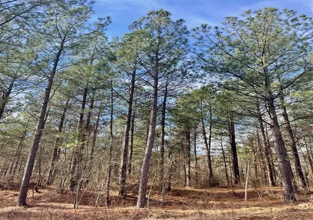1st image of 742 Timber Creek Trails South Xl, Broken Bow, OK 74728 | MLS# 1097885