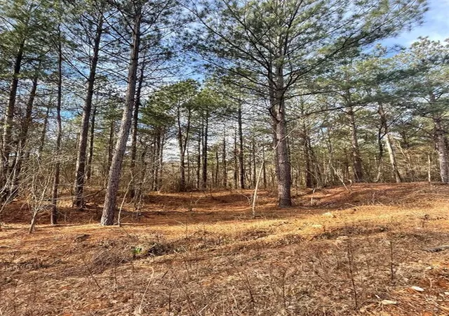 2nd image of 742 Timber Creek Trails South Xl, Broken Bow, OK 74728 | MLS# 1097885