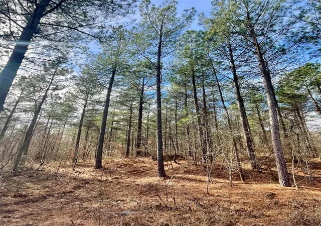3rd image of 742 Timber Creek Trails South Xl, Broken Bow, OK 74728 | MLS# 1097885
