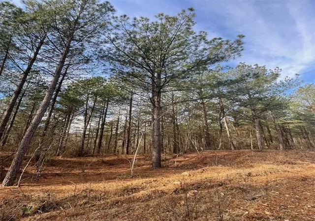 4th image of 742 Timber Creek Trails South Xl, Broken Bow, OK 74728 | MLS# 1097885