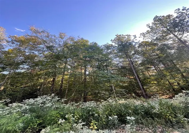 Photo 2 of Land for sale at 745 Timber Creek Trails South Xl, Broken Bow, OK 74728 | MLS# 1097892 | Listing updated on 2026-07-27