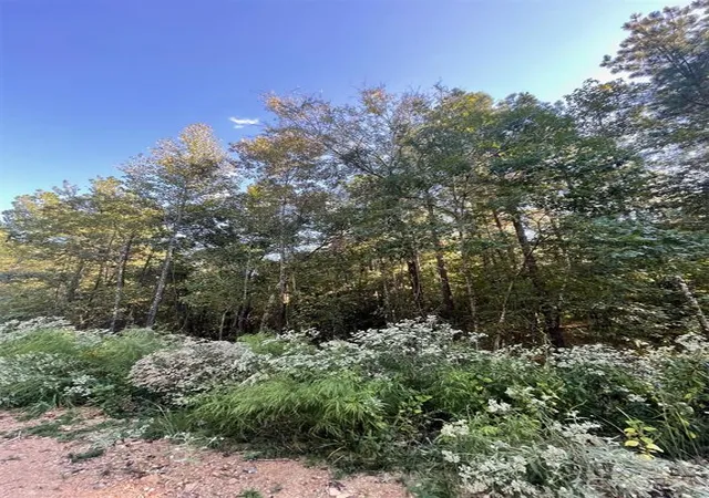 Photo 3 of Land for sale at 745 Timber Creek Trails South Xl, Broken Bow, OK 74728 | MLS# 1097892 | Listing updated on 2026-07-27