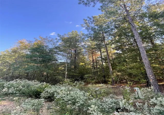 Photo 4 of Land for sale at 745 Timber Creek Trails South Xl, Broken Bow, OK 74728 | MLS# 1097892 | Listing updated on 2026-07-27