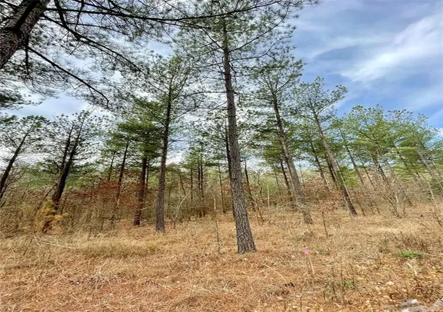 Photo 2 of Land for sale at 746 Timber Creek Trails South Xl, Broken Bow, OK 74728 | MLS# 1097896 | Listing updated on 2026-07-27