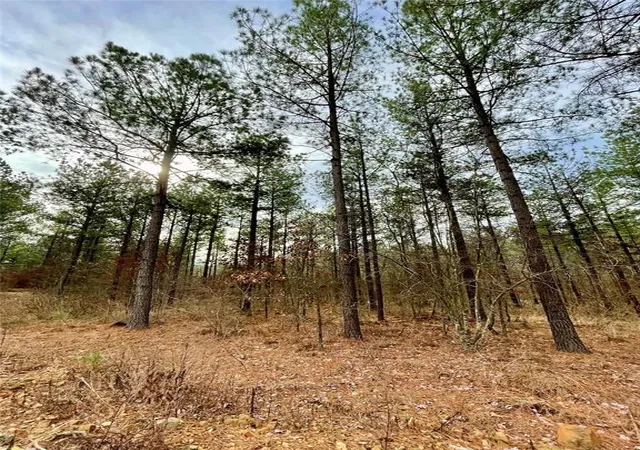 Photo 1 of Land for sale at 746 Timber Creek Trails South Xl, Broken Bow, OK 74728 | MLS# 1097896 | Listing updated on 2026-07-27