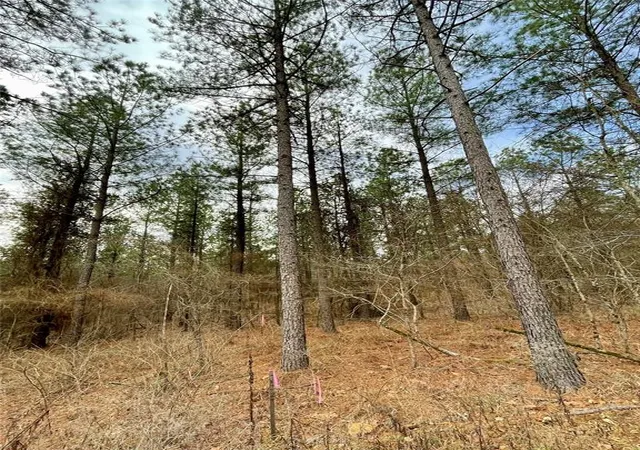 Photo 1 of Land for sale at 748 Timber Creek Trails South Xl, Broken Bow, OK 74728 | MLS# 1097900 | Listing updated on 2026-07-27