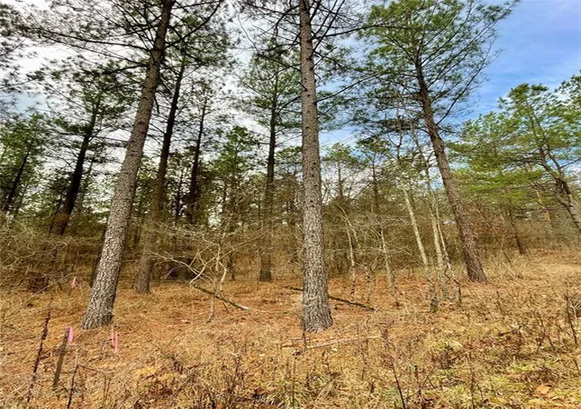Photo 2 of Land for sale at 748 Timber Creek Trails South Xl, Broken Bow, OK 74728 | MLS# 1097900 | Listing updated on 2026-07-27