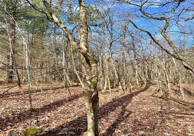 Photo 3 of Land for sale at 750 Timber Creek Trails South Xl, Broken Bow, OK 74728 | MLS# 1097903 | Listing updated on 2026-07-27
