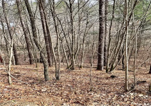 Photo 4 of Land for sale at 751 Timber Creek Trails South Xl, Broken Bow, OK 74728 | MLS# 1097904 | Listing updated on 2026-07-27