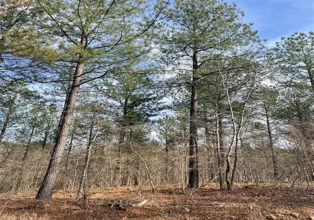 Photo 1 of Land for sale at 752 Timber Creek Trails South Xl, Broken Bow, OK 74728 | MLS# 1097906 | Listing updated on 2026-07-27
