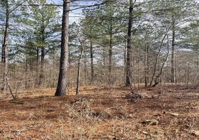 Photo 2 of Land for sale at 752 Timber Creek Trails South Xl, Broken Bow, OK 74728 | MLS# 1097906 | Listing updated on 2026-07-27