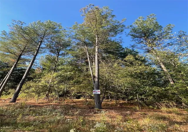 Photo 1 of Land for sale at 753 Timber Creek Trails South Xl, Broken Bow, OK 74728 | MLS# 1097907 | Listing updated on 2026-07-27