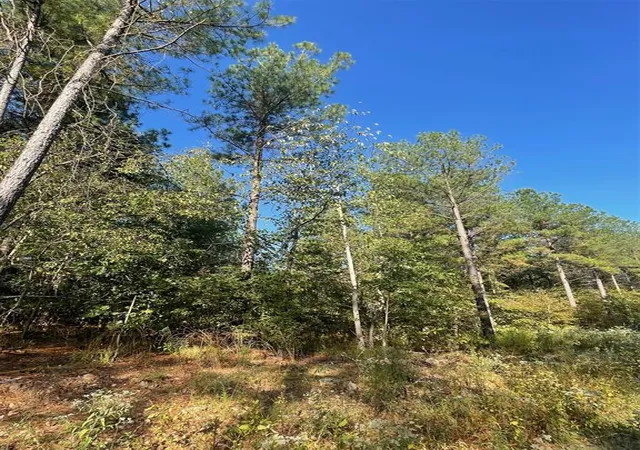 Photo 2 of Land for sale at 753 Timber Creek Trails South Xl, Broken Bow, OK 74728 | MLS# 1097907 | Listing updated on 2026-07-27
