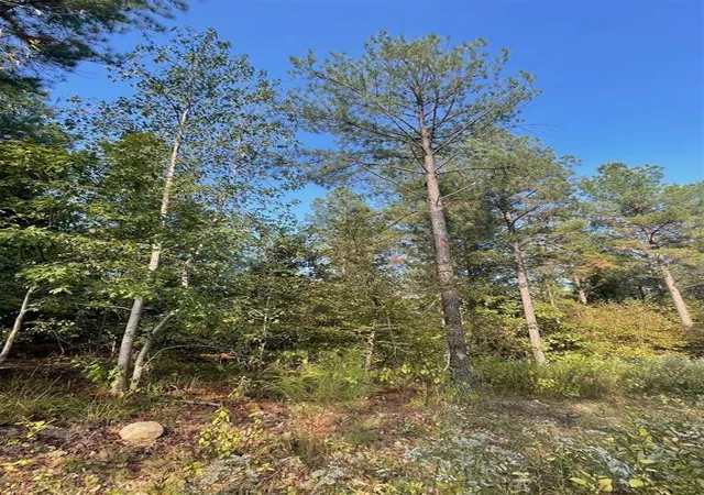 Photo 3 of Land for sale at 753 Timber Creek Trails South Xl, Broken Bow, OK 74728 | MLS# 1097907 | Listing updated on 2026-07-27