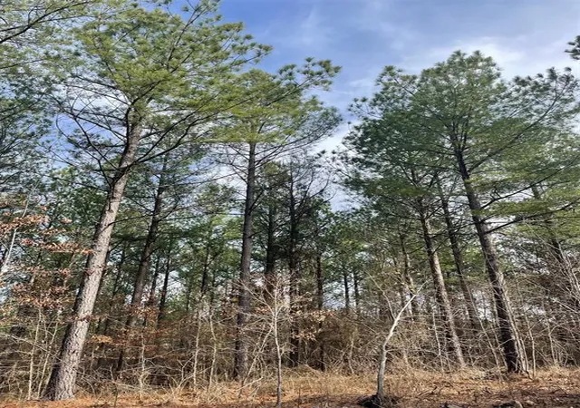 1st image of 754 Timber Creek Trails South Xl, Broken Bow, OK 74728 | MLS# 1097908