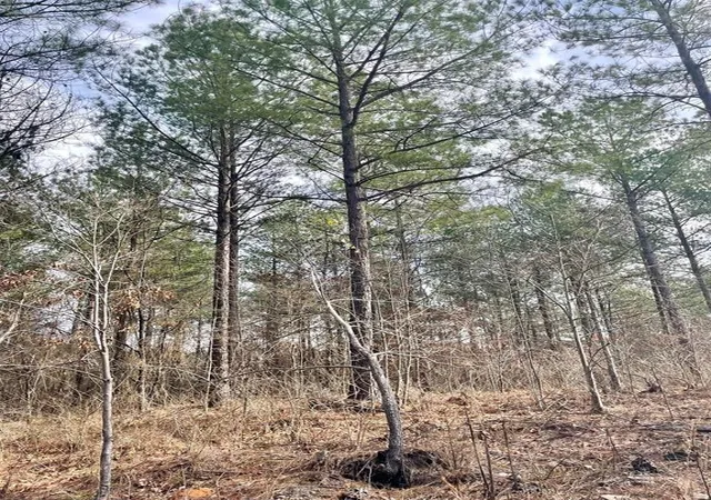 Photo 3 of Land for sale at 754 Timber Creek Trails South Xl, Broken Bow, OK 74728 | MLS# 1097908 | Listing updated on 2026-07-27