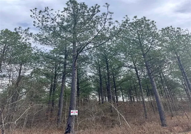 Homes for sale in Broken Bow, OK | 755 Timber Creek Trails South Xl, Broken Bow, OK 74728 | MLS# 1097909