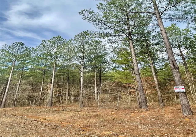 Homes for sale in Broken Bow, OK | 759 Timber Creek Trails South Xl, Broken Bow, OK 74728 | MLS# 1097913