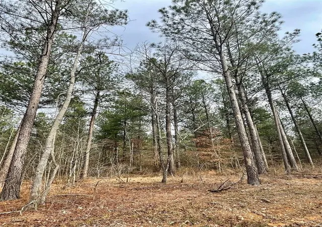 Homes for sale in Broken Bow, OK | 759 Timber Creek Trails South Xl, Broken Bow, OK 74728 | MLS# 1097913