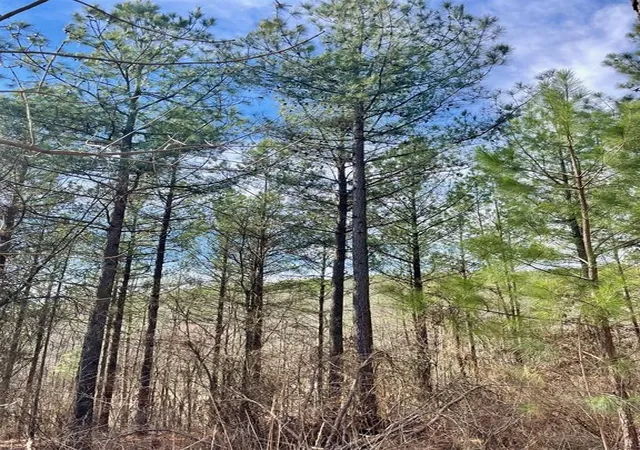 1st image of 764 Timber Creek Trails South Xl, Broken Bow, OK 74728 | MLS# 1097921