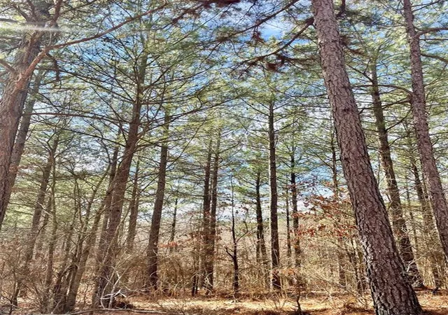 Photo 3 of Land for sale at 764 Timber Creek Trails South Xl, Broken Bow, OK 74728 | MLS# 1097921 | Listing updated on 2026-07-27