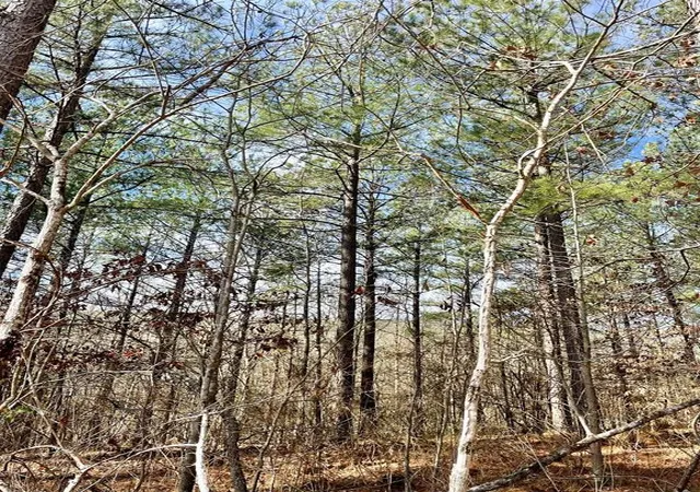 Photo 4 of Land for sale at 764 Timber Creek Trails South Xl, Broken Bow, OK 74728 | MLS# 1097921 | Listing updated on 2026-07-27