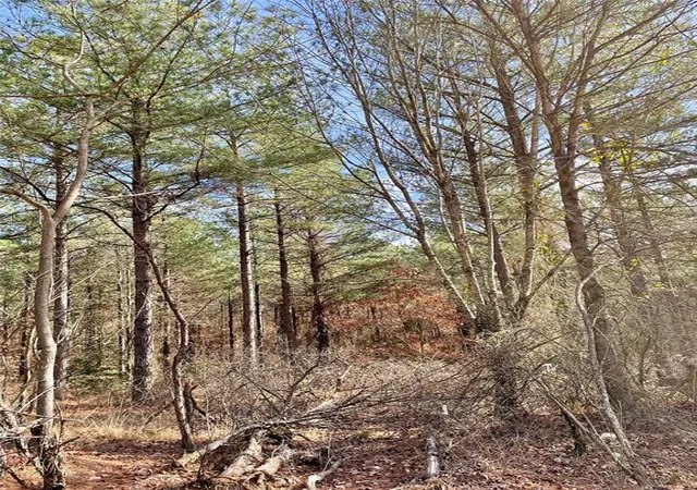 1st image of 766 Timber Creek Trails South Xl, Broken Bow, OK 71842 | MLS# 1097932