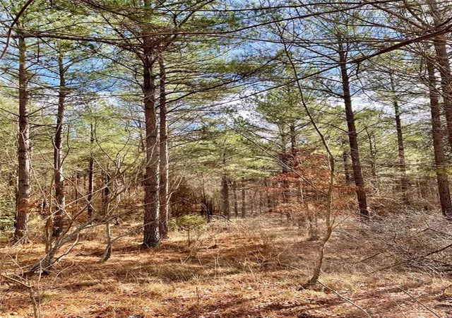 3rd image of 766 Timber Creek Trails South Xl, Broken Bow, OK 71842 | MLS# 1097932