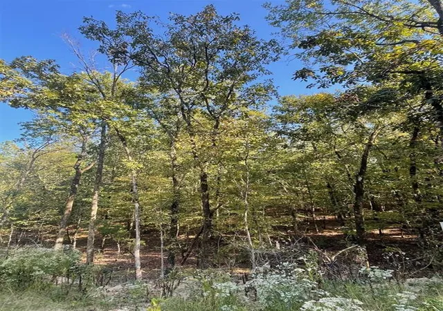 1st image of 767 Timber Creek Trails South Xl, Broken Bow, OK 74728 | MLS# 1097935