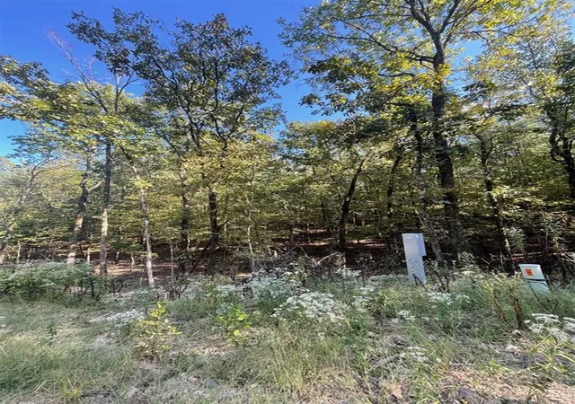 2nd image of 767 Timber Creek Trails South Xl, Broken Bow, OK 74728 | MLS# 1097935